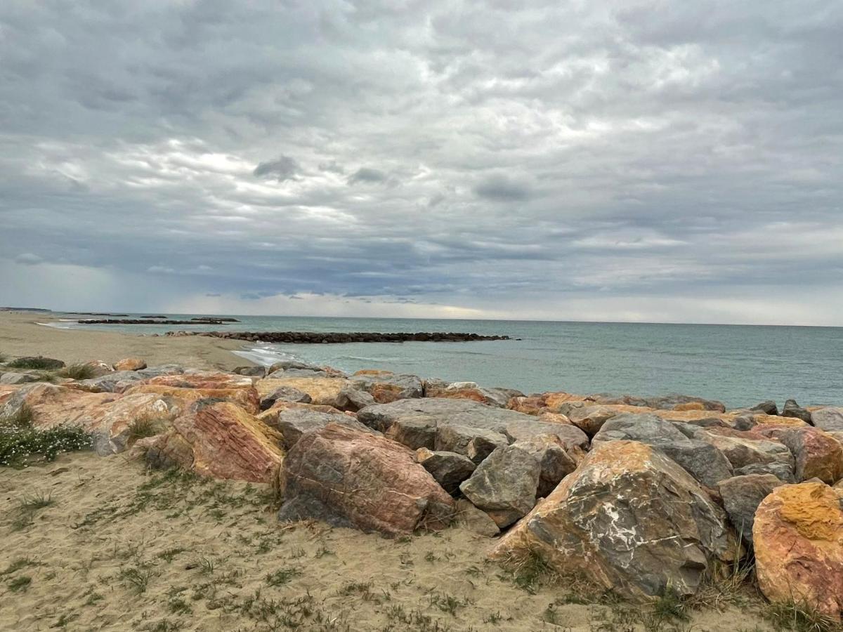 Port Barcares Vue Port Et Mer Ле-Баркарес Екстер'єр фото